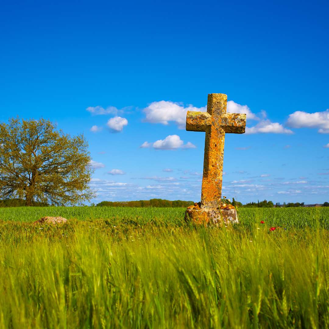 subastas-viviendas-palencia-comprar-pisos-baratos-ocasion-cesion-remate-casas-rural