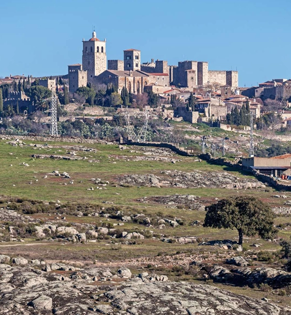 subastas-viviendas-boe-badajoz-cesion-remate-comprar-barato-españa-pueblos-naturaleza-oportunidad-migas-vacaciones-rustico