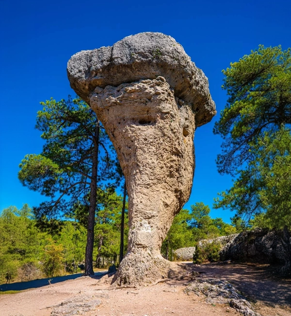 subastas-viviendas-cuenca-comprar-barato-inmuebles-casas-arbol-autoescuela-oportunidad-naturaleza-vacaciones