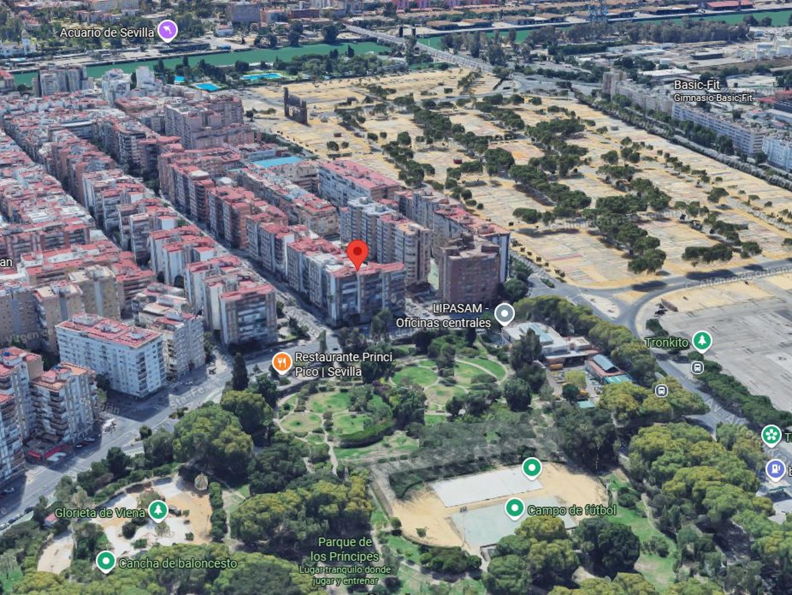 20570552-2.jpg