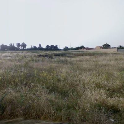 18434206-6.jpg