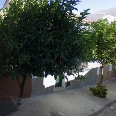 18650076-6.jpg