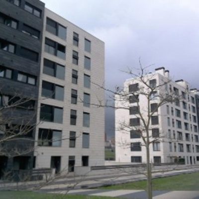 23445719.jpg